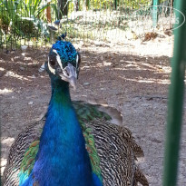 фото из отзыва ID 2158061