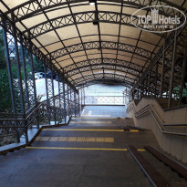 фото из отзыва ID 2158061