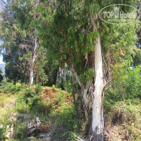 фото из отзыва ID 2158261