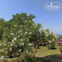 фото из отзыва ID 2158261