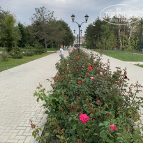 фото из отзыва ID 2158332