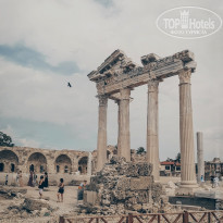 фото из отзыва ID 2158233