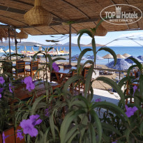 фото из отзыва ID 2156424