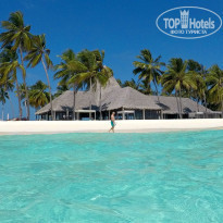 фото из отзыва ID 2158543