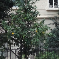 фото из отзыва ID 2158585