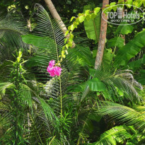 фото из отзыва ID 2158654