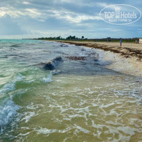 фото из отзыва ID 2158665