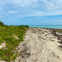 фото из отзыва ID 2158665