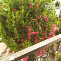 фото из отзыва ID 2158730