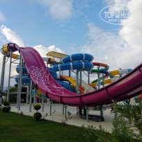 фото из отзыва ID 2158775