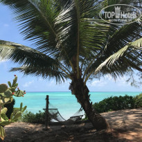 фото из отзыва ID 2158839