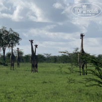 фото из отзыва ID 2158839