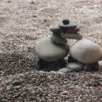 фото из отзыва ID 2158885