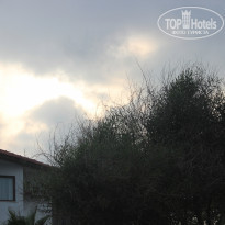 фото из отзыва ID 2158885