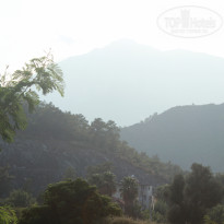 фото из отзыва ID 2158885