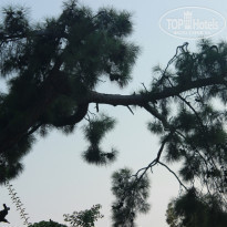 фото из отзыва ID 2158885