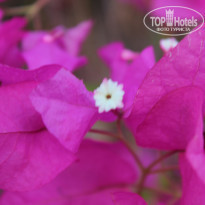 фото из отзыва ID 2158885