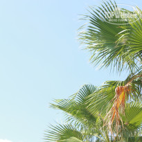 фото из отзыва ID 2158885