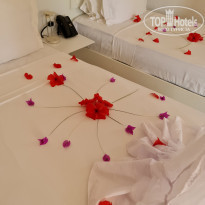 фото из отзыва ID 2159011