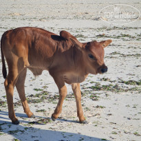 фото из отзыва ID 2159011