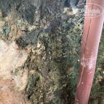 фото из отзыва ID 2159072