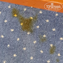 фото из отзыва ID 2159078