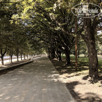 фото из отзыва ID 2159114