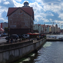 фото из отзыва ID 2159114