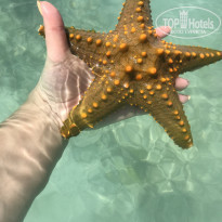 фото из отзыва ID 2159115