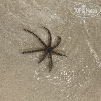 фото из отзыва ID 2159115