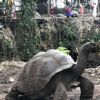 фото из отзыва ID 2159115