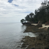 фото из отзыва ID 2159115