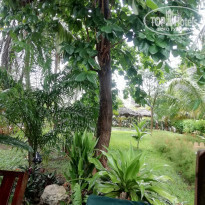 фото из отзыва ID 2158944