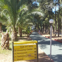 фото из отзыва ID 2159175