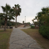 фото из отзыва ID 2159371