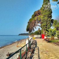 фото из отзыва ID 2159401