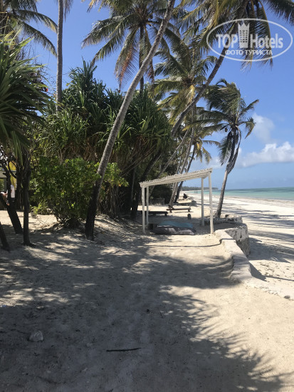 New photos from tourists Indigo Beach Zanzibar 3*