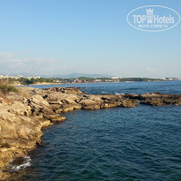 фото из отзыва ID 2159639