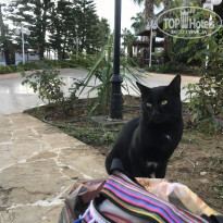 фото из отзыва ID 2159639