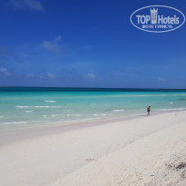 фото из отзыва ID 2159800