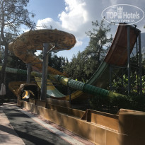 фото из отзыва ID 2159829