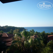 фото из отзыва ID 2159845