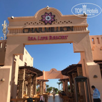 фото из отзыва ID 2159890