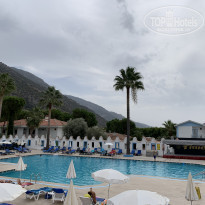 фото из отзыва ID 2154950