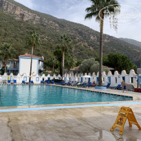 фото из отзыва ID 2154950