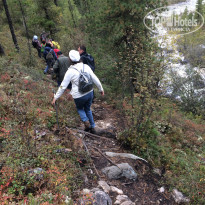 фото из отзыва ID 2159871