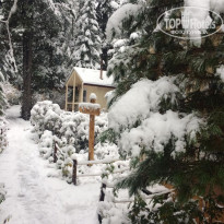 фото из отзыва ID 2159871