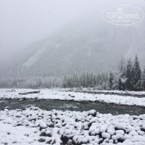 фото из отзыва ID 2159871