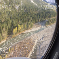 фото из отзыва ID 2159871