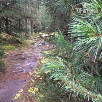 фото из отзыва ID 2159871